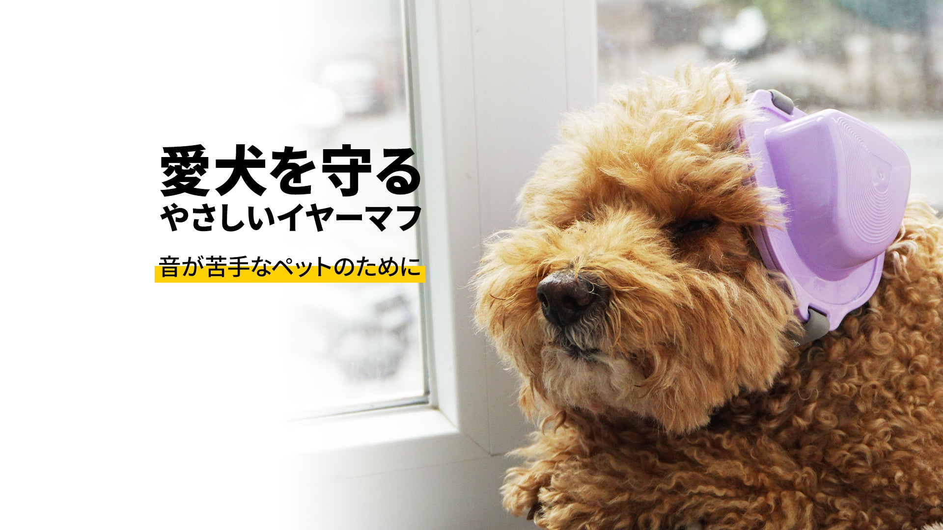 www.petsear.jp – Petsear_Japan