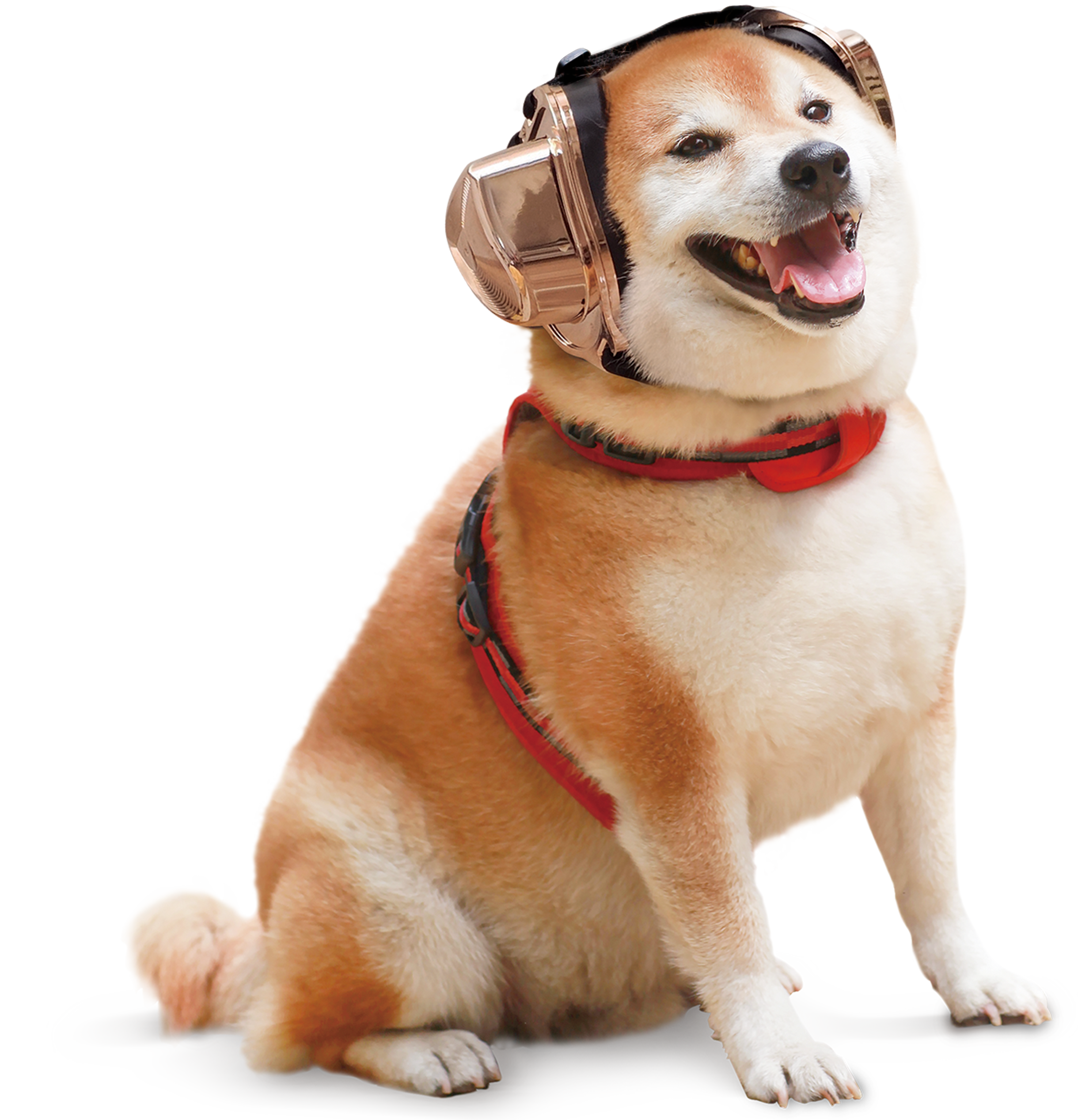 ゼロプラステクノロジー，ペットの聴覚保護ソリューション